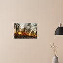 5ad84e41-d41e-4612-9767-c9def1553e6c