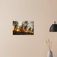 5ad84e41-d41e-4612-9767-c9def1553e6c