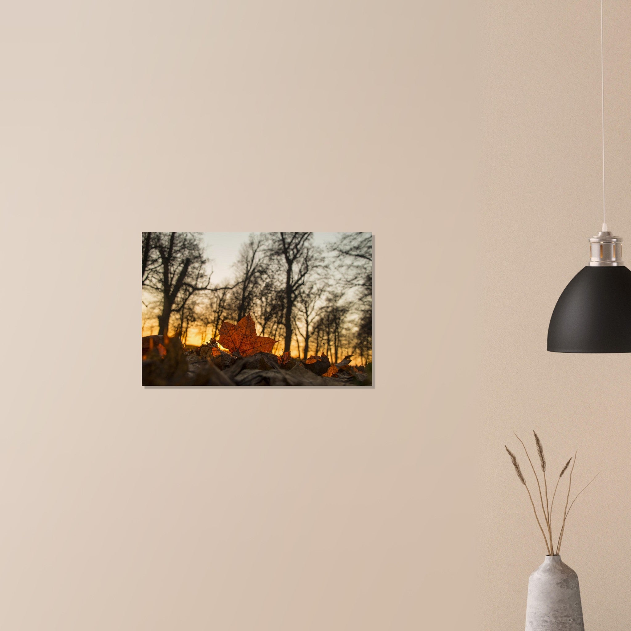 5ad84e41-d41e-4612-9767-c9def1553e6c