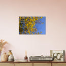 5b728395-16c2-40be-9d3a-3e2fe9ef00a7