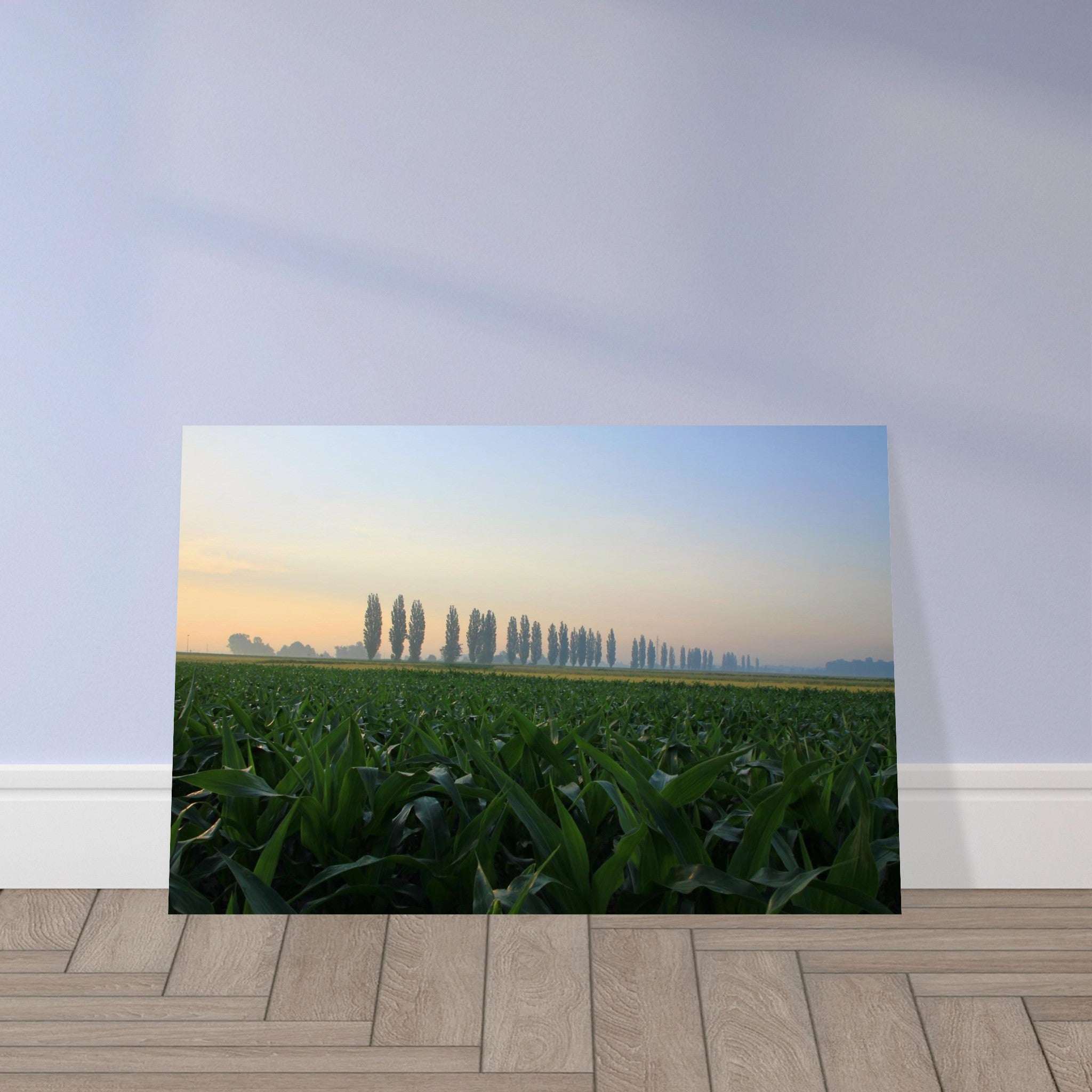 5bcbc51d-7952-417a-8e6e-abc657af555e