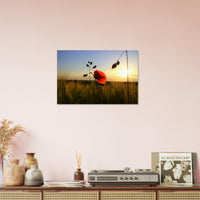 5ccbfd27-c69c-44a8-88b6-91f9f4a4678a