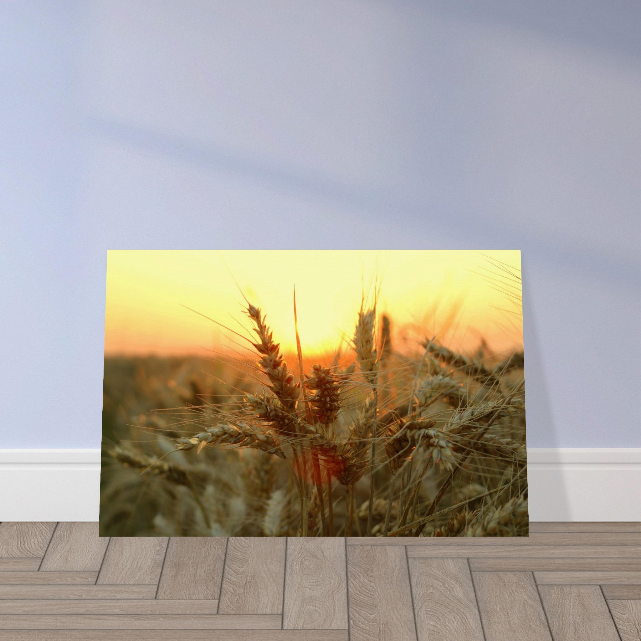 5d78d2f0-4b3d-4baf-a54a-1dc973ea2feb