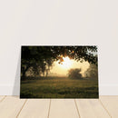 5d8cf328-e869-497d-8c5a-7cf958328e88