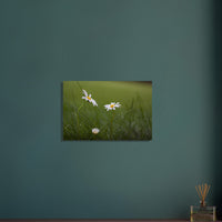 5e2fd9df-51a4-4b44-8cd5-75d10b8b90dc