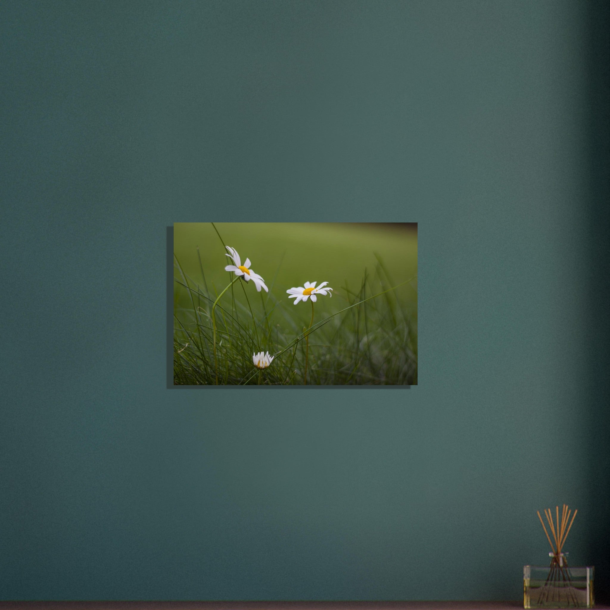 5e2fd9df-51a4-4b44-8cd5-75d10b8b90dc