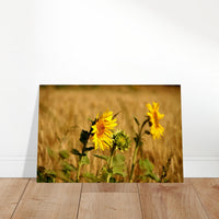 5f3d6e06-15f8-4ec7-ba89-4393b311fa9b