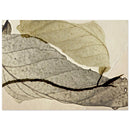 5f6ac120-504f-48b9-bbce-88926b55496b