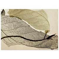 5f6ac120-504f-48b9-bbce-88926b55496b