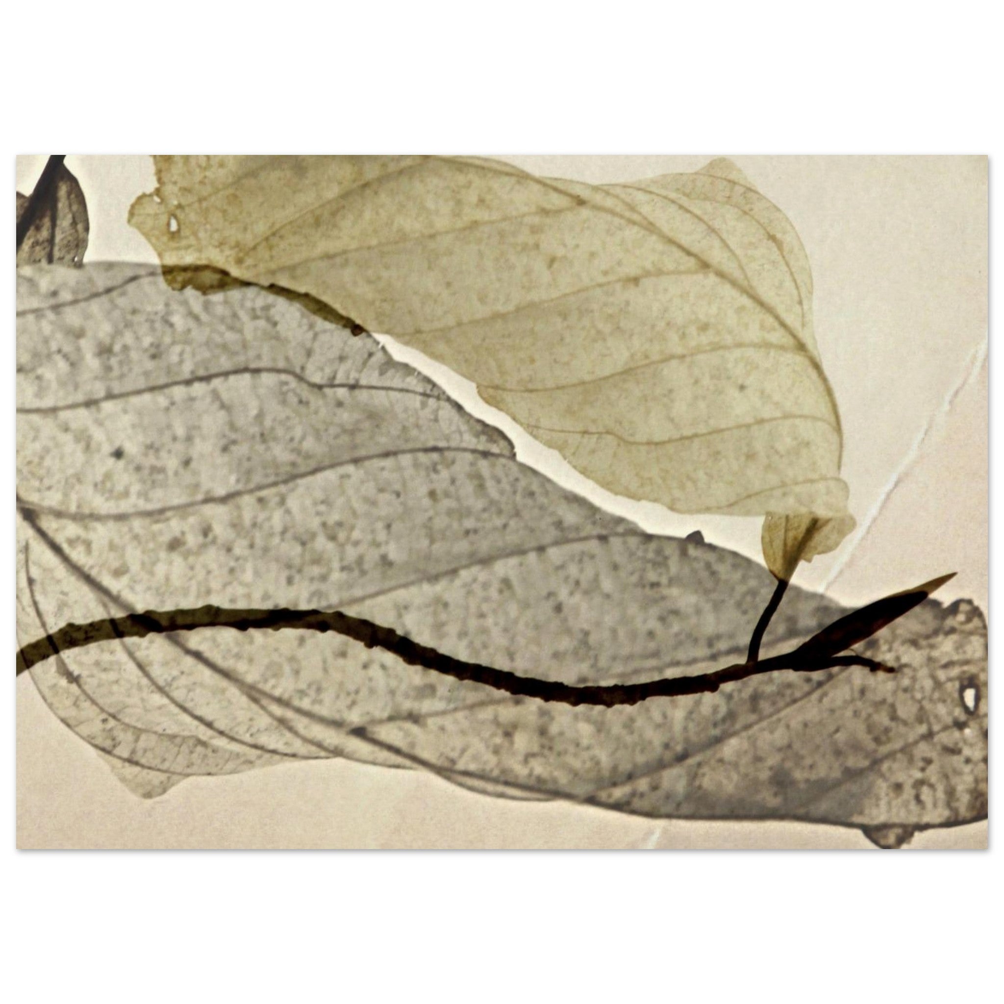 5f6ac120-504f-48b9-bbce-88926b55496b