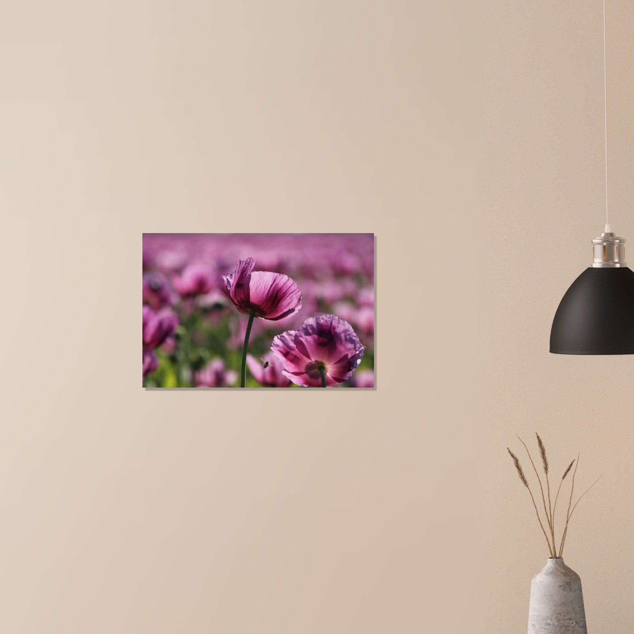 646a528b-b617-4825-841a-90434bcc4911