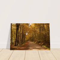 6518244e-3a14-485a-bca3-93425a077e14