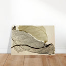 66296241-ab38-4a53-b587-06e6463304ac