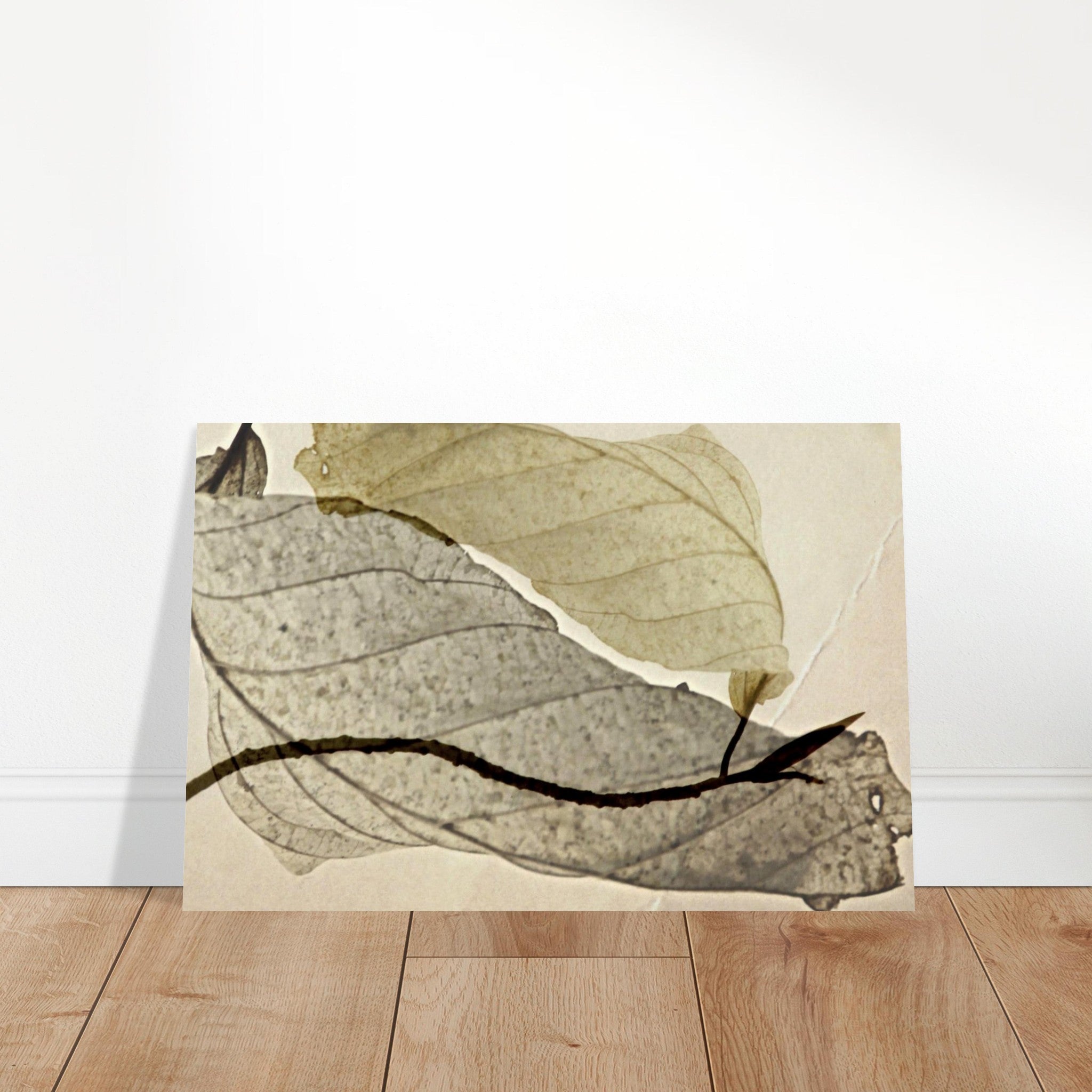 66296241-ab38-4a53-b587-06e6463304ac