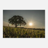 6683f29c-679d-440e-9670-cea0f8707374