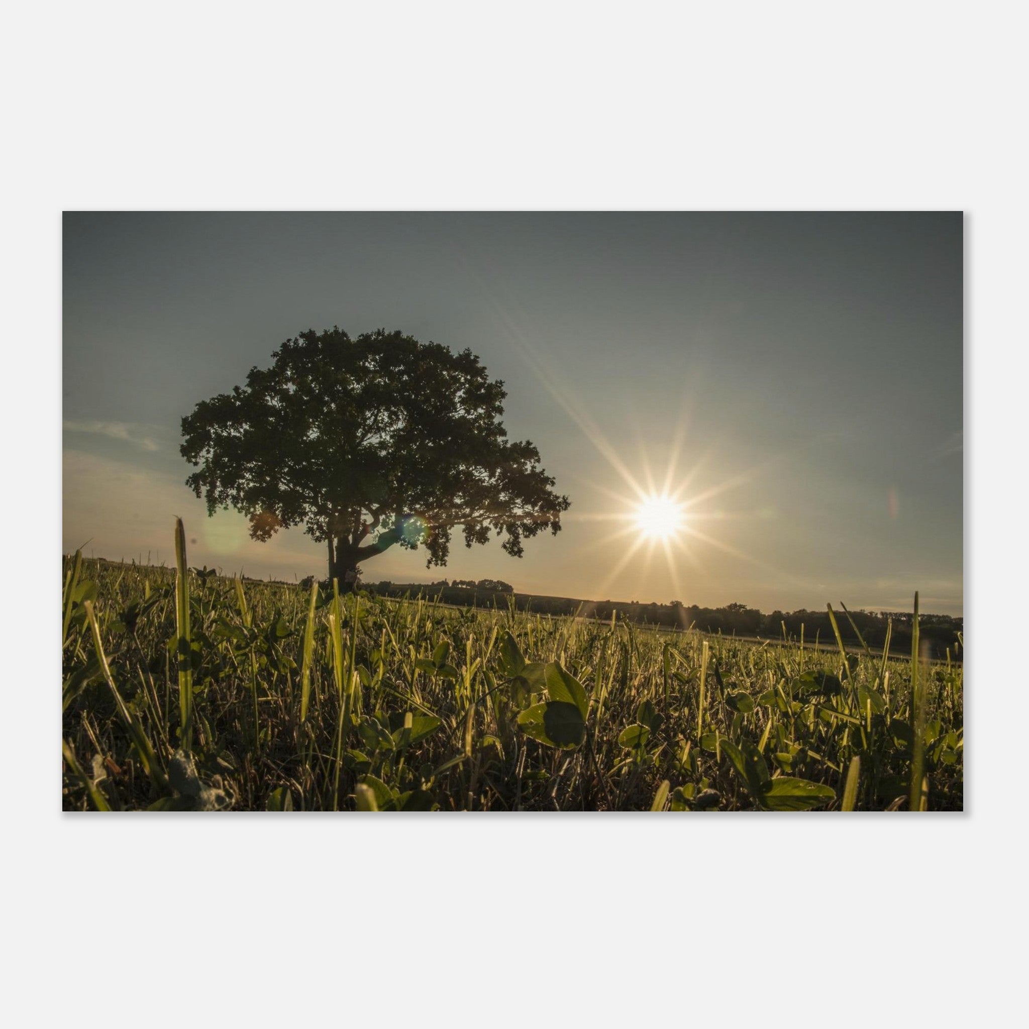 6683f29c-679d-440e-9670-cea0f8707374