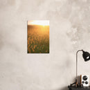 676ad737-8801-4bcf-9604-9dae6e9e7783