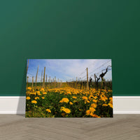 67a8afc4-8465-4822-a758-3787d0079bfa