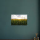 6857830c-2dae-445c-b59b-1afc6090a554