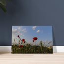 687ee0ff-384e-4dea-b4ac-14c5066c4f98