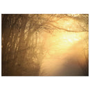 Morning fog parting to reveal warm golden sunlight over a Prekmurje landscape, Slovenia — BETVA fine art nature poster