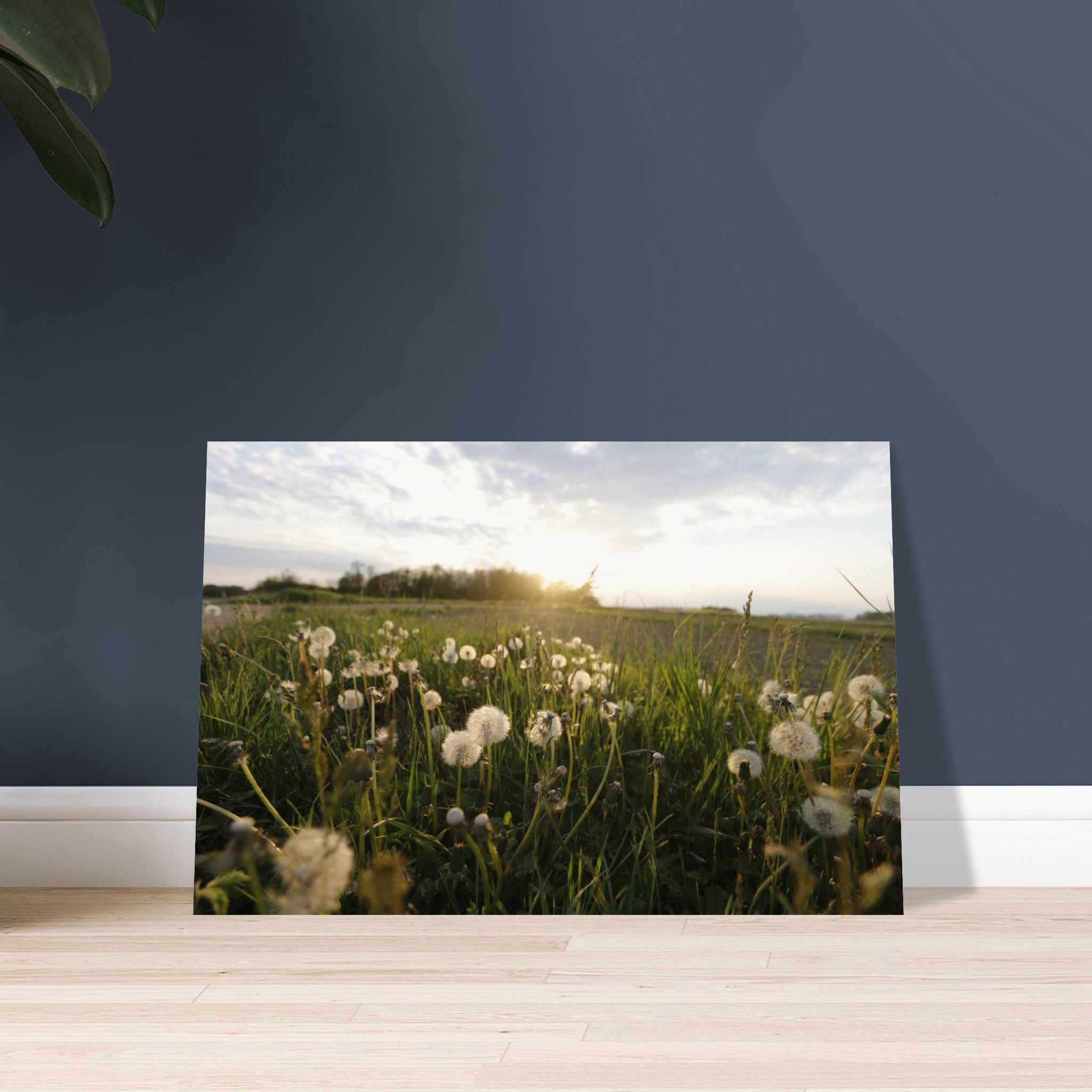 6a4baaa8-823e-42a4-95a8-56e26796c982