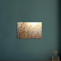 6ab967e2-c286-45ac-a60f-e939d439be4e