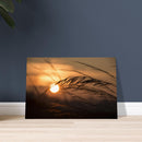 6b3413cc-0c75-4688-85d1-76def393aa6f