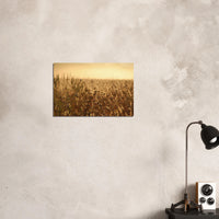 6bfd5547-875a-4003-8942-980fcc309e1c