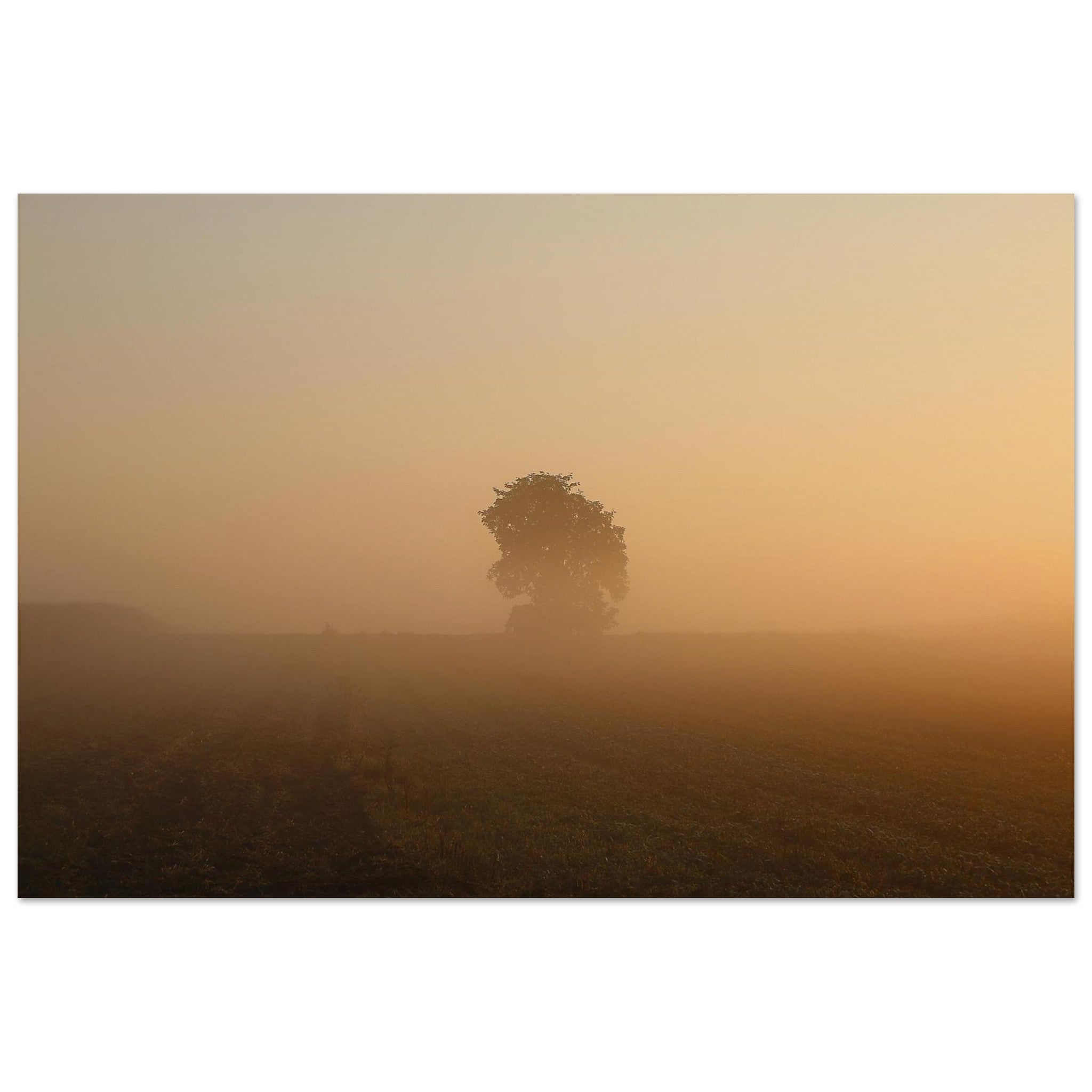 Golden Mist Tree — Nature Fine Art Poster | BETVA Wall Art