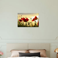 6d47740b-87e0-461c-a405-74f3c0307c69