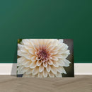 6d6987e0-bdf8-4fb9-b57f-7947a17eb1be