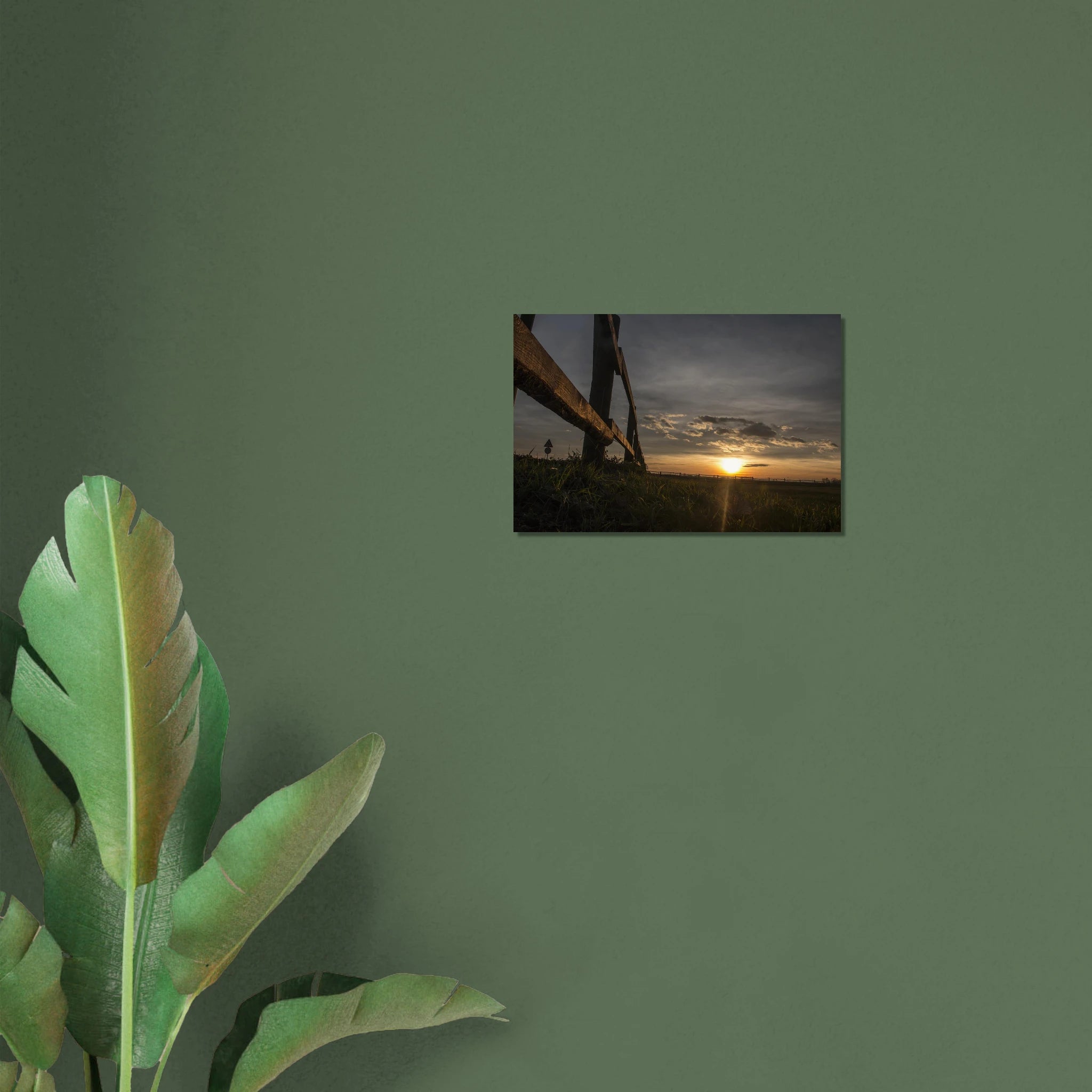 6f720957-4964-444f-a847-1318cab1f77d