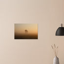 6f985f83-1f71-47fa-81aa-6a350087ddfb