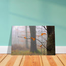 6fcd1026-a1ed-4040-aec3-d6d3d2bbaae0