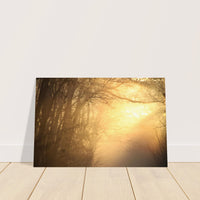 Morning fog parting to reveal warm golden sunlight over a Prekmurje landscape, Slovenia — BETVA fine art nature poster