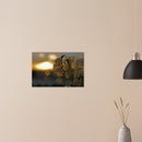 74743c26-e911-4bb9-9d05-2edc94074adc