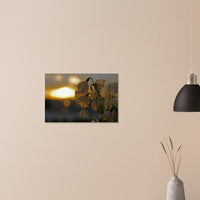 74743c26-e911-4bb9-9d05-2edc94074adc