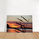 75f6c539-259e-4288-886c-ef6fcae0c469