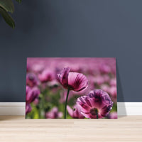 76a1ef51-7419-4bc9-a0a6-f2c1dc1c94b9