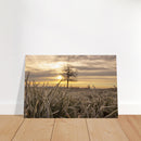 7c05e04e-56d6-4ac0-8b8d-10098012b6f3