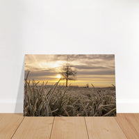 7c05e04e-56d6-4ac0-8b8d-10098012b6f3