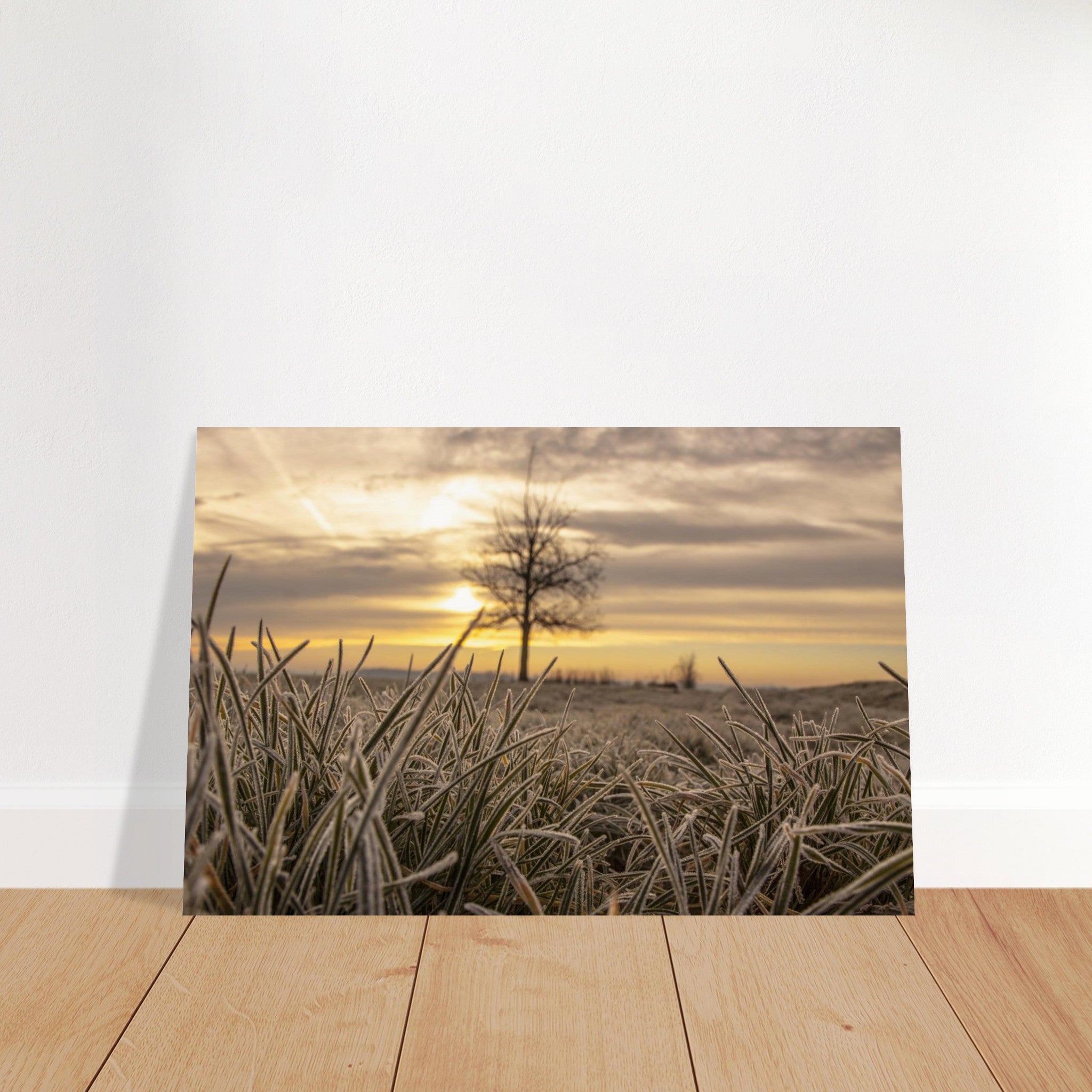 7c05e04e-56d6-4ac0-8b8d-10098012b6f3