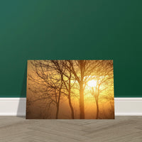 7d01c254-e2d8-46ce-9f4d-2d9411b00d99