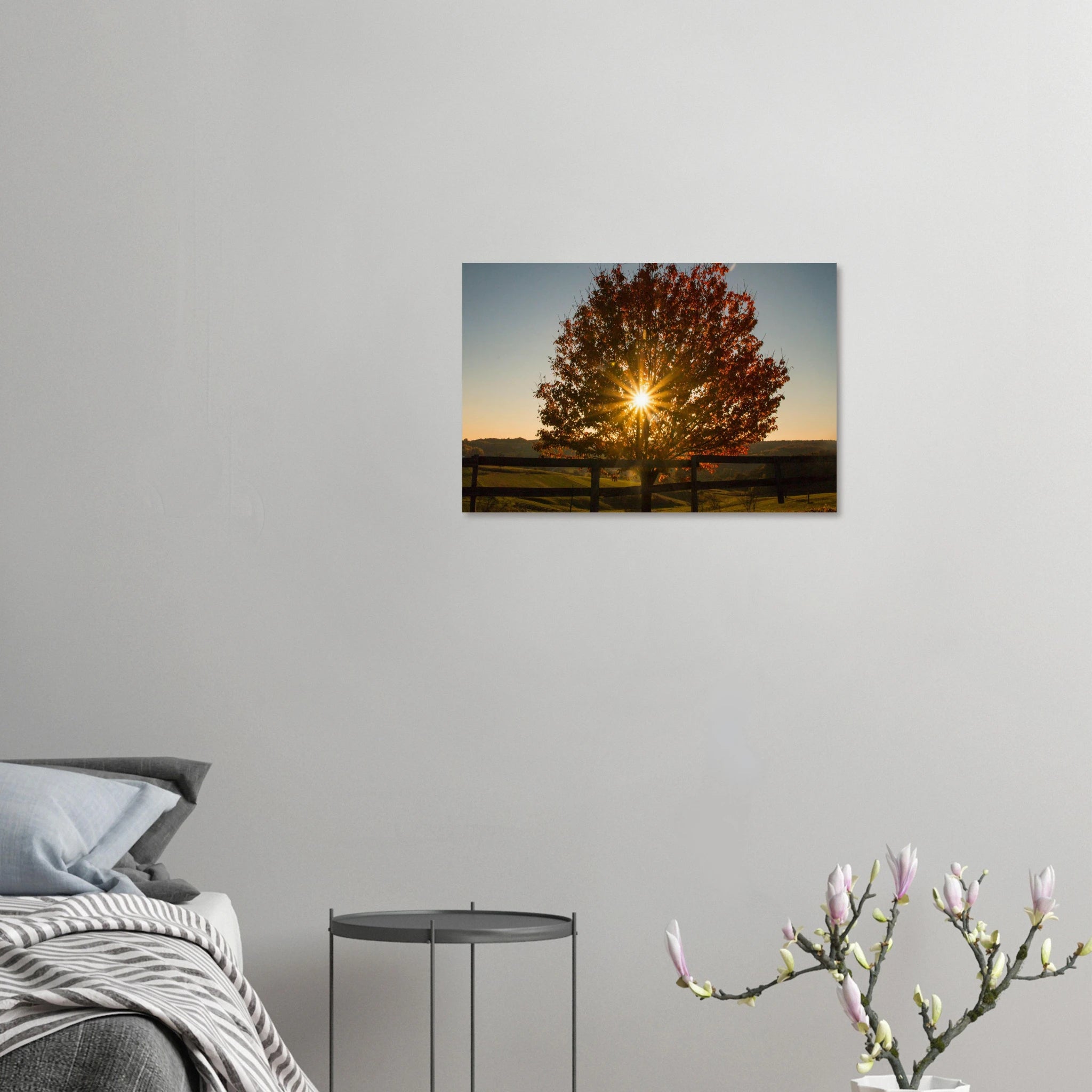 7e92fb14-11b2-4fba-885e-75356f7e2244