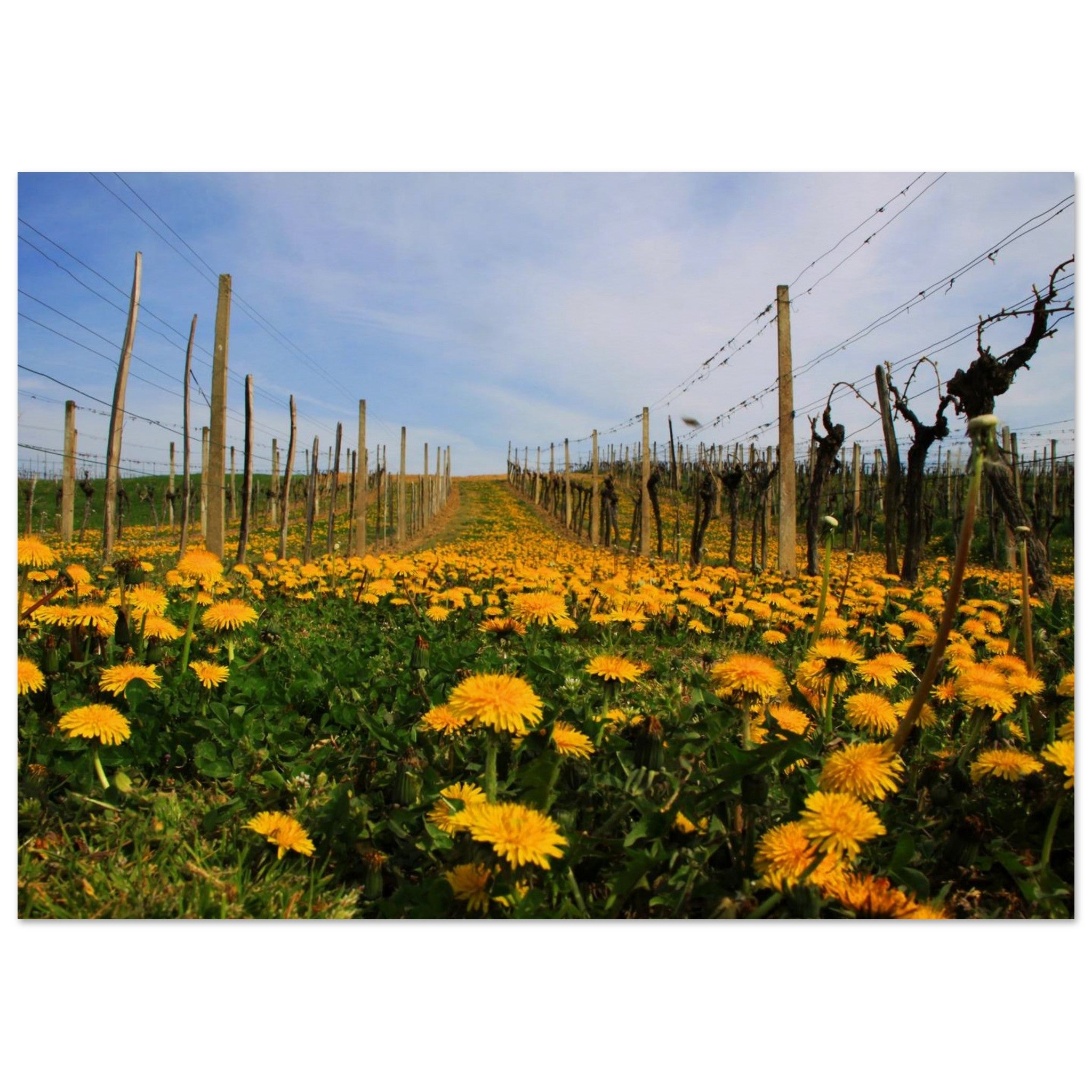 7ee906b1-2a6d-4a59-9045-9ba3b81abb8b