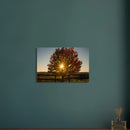 8178a294-5869-4abc-93a5-f3ed121b5b7a