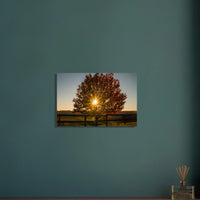 8178a294-5869-4abc-93a5-f3ed121b5b7a