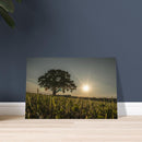 818ba7f0-2e94-40fb-940a-3432f3a7c414