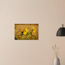 829aed03-c6ac-4bc0-a7b9-89d797bc62ad